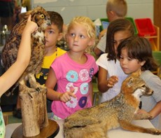 Students looking at animals