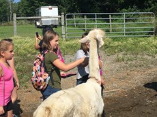 Children with an alpaca