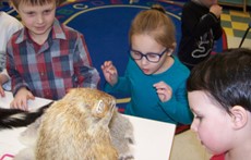 three young children looking at a stuffed animal